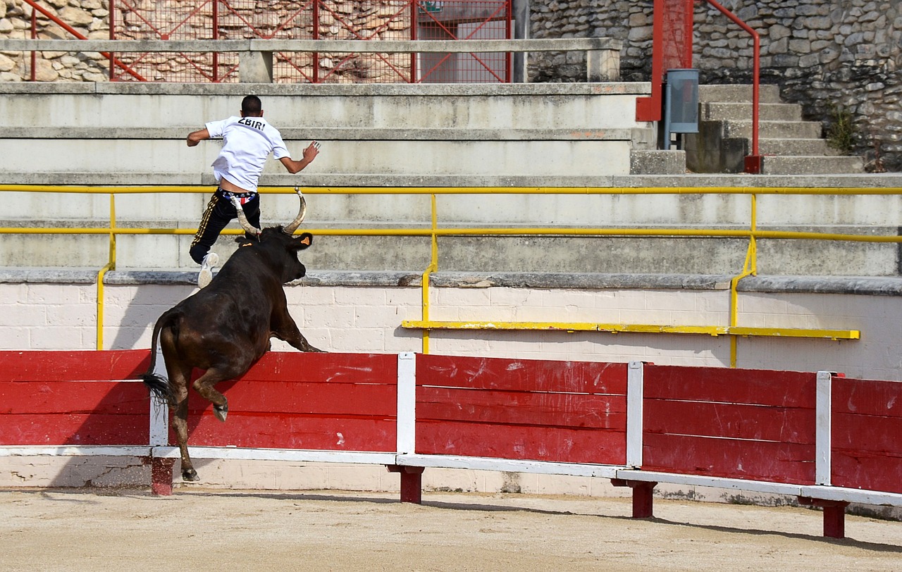 续书写
