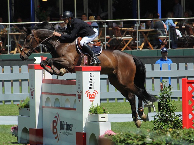 灭的美好回 灭的美好回