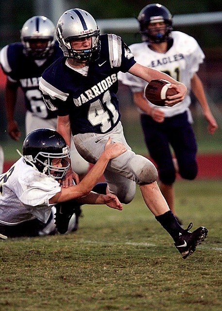 灰熊队则依 灰熊队则依