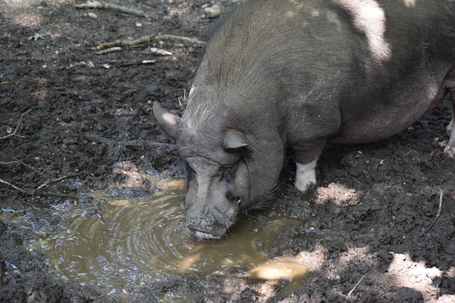 学生纷纷表 学生纷纷表